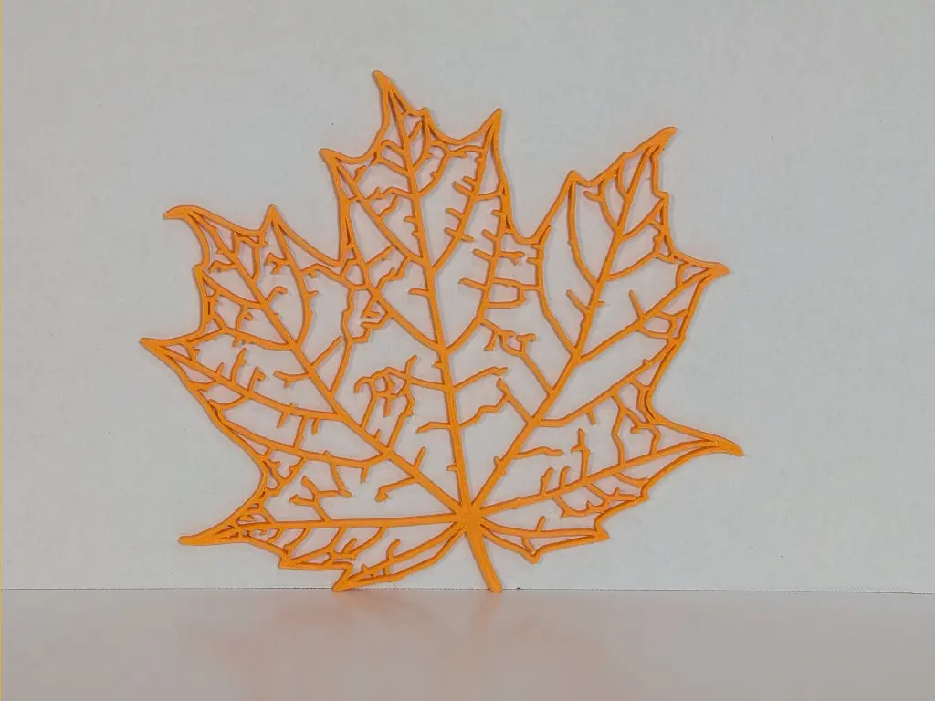 Maple Leaf 3.webp