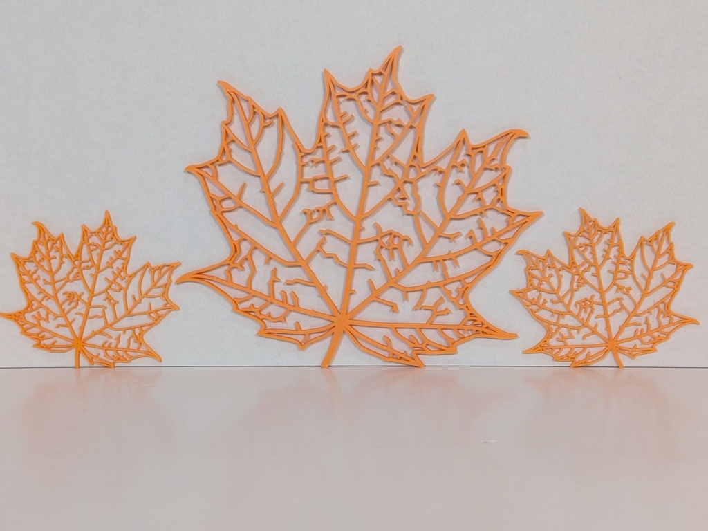 Triple Maple Leaf 1.jpg